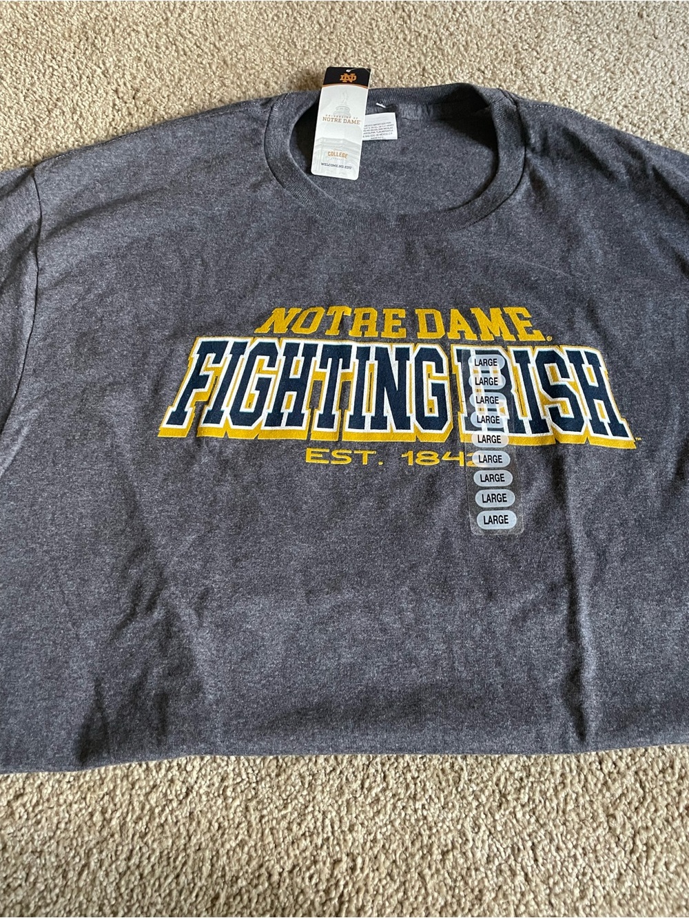 Notre Dame Fighting Irish Gray Graphic Tee
